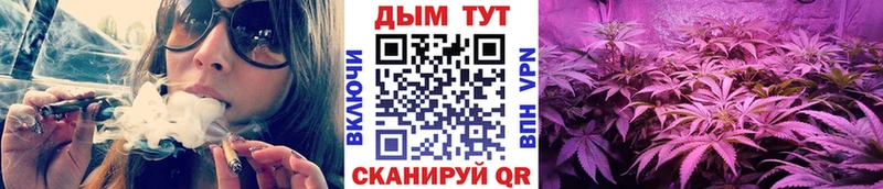 Сколько стоит Нерехта Альфа ПВП ГАШ Марихуана