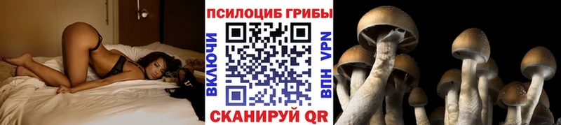 кракен вход  Нерехта  Галлюциногенные грибы MAGIC MUSHROOMS 